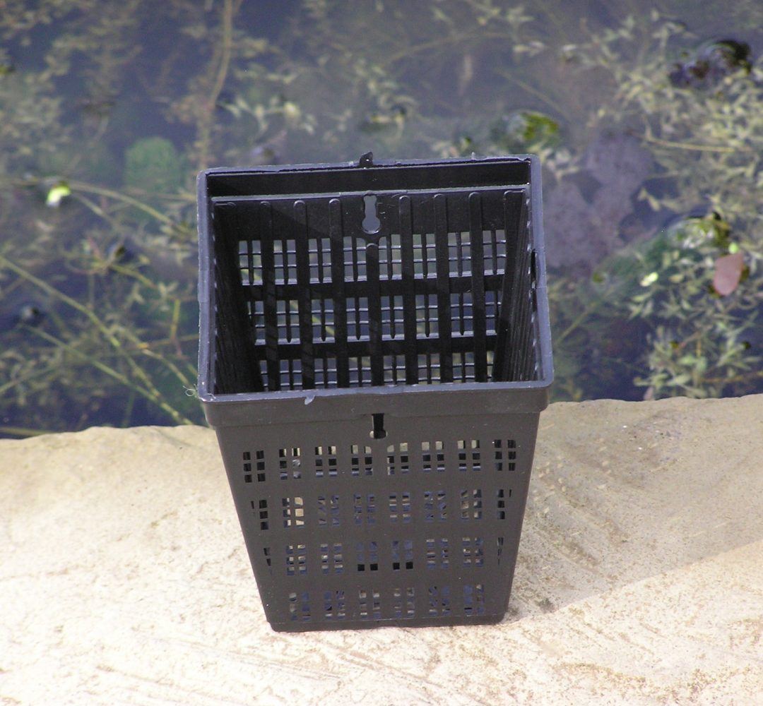 1/2 lt Planting basket Merebrook Pond Plants