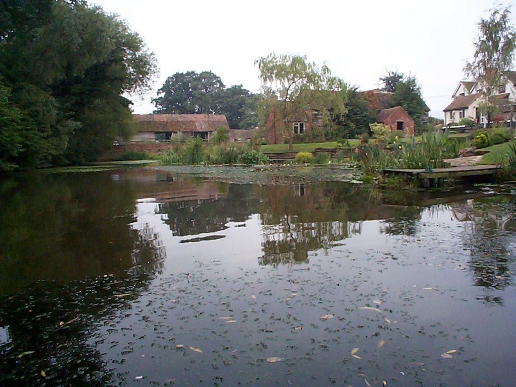 Established, well planted earth-based pond