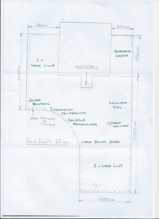 A Planting plan for your pond