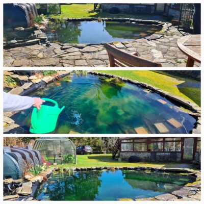 Pond health